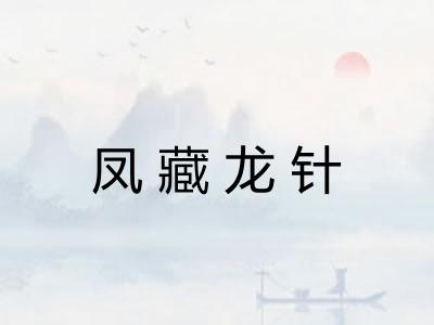 凤藏龙针