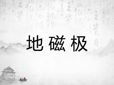 地磁极