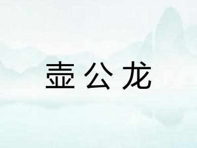 壶公龙