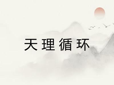 天理循环