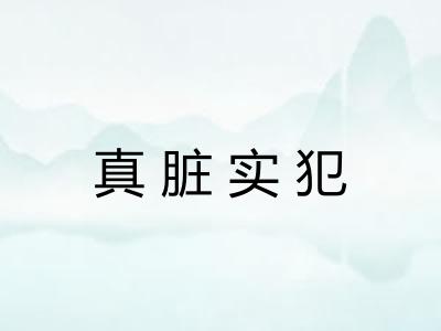 真脏实犯