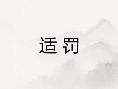 适罚