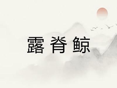 露脊鲸