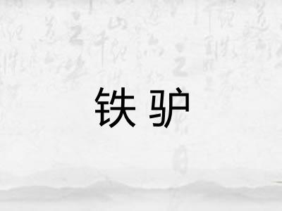 铁驴