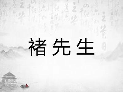 褚先生