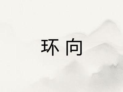 环向