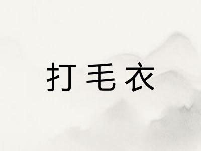 打毛衣
