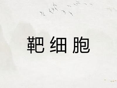 靶细胞