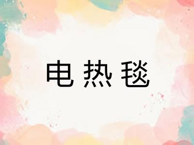 电热毯