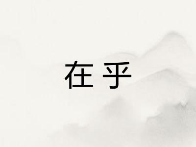 在乎
