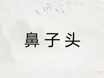 鼻子头