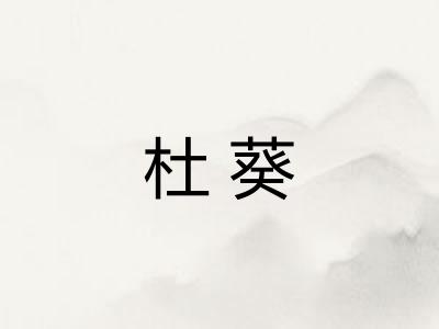 杜葵