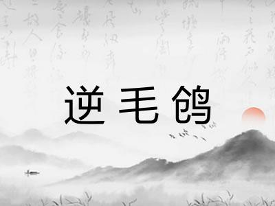 逆毛鸧