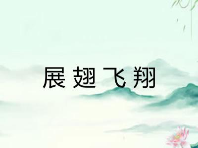 展翅飞翔