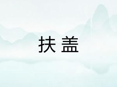 扶盖