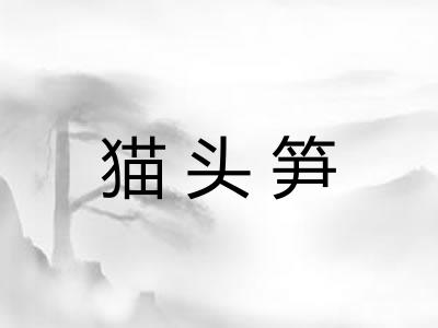 猫头笋