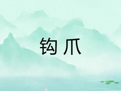 钩爪
