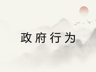 政府行为