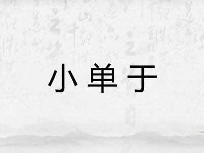 小单于