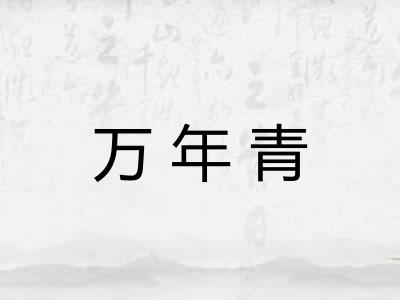 万年青