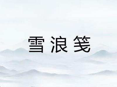 雪浪笺