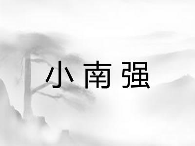 小南强