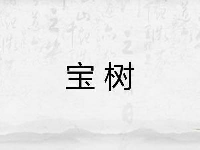宝树