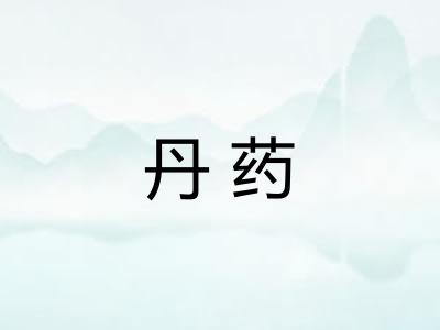 丹药