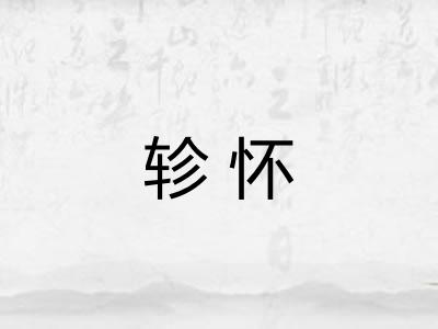 轸怀