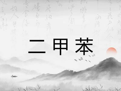 二甲苯