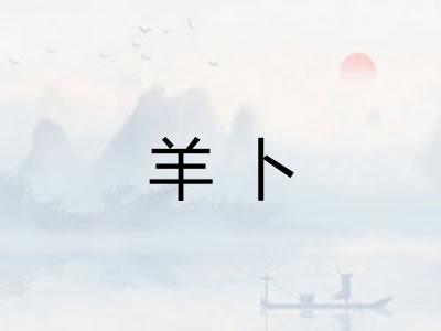 羊卜