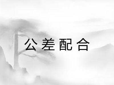 公差配合