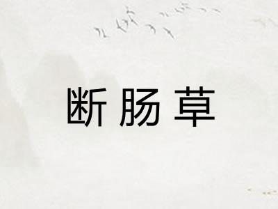 断肠草