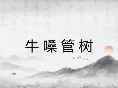 牛嗓管树