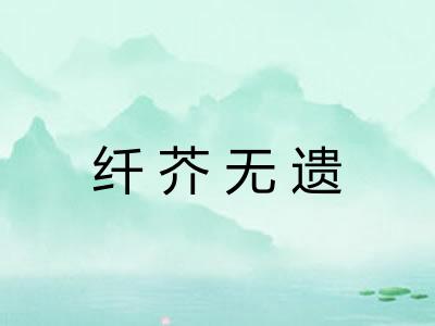 纤芥无遗