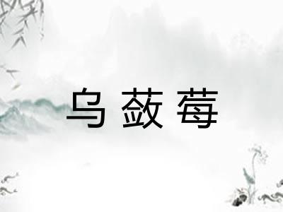 乌蔹莓