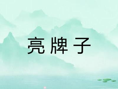 亮牌子