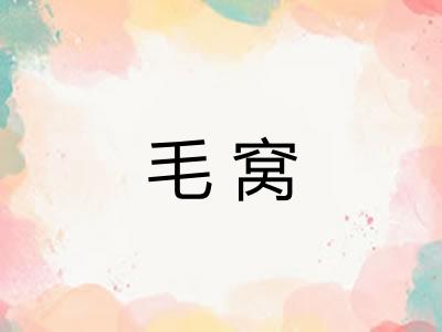毛窝