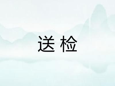 送检