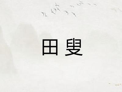 田叟