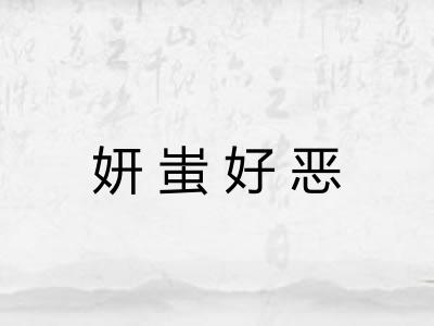 妍蚩好恶