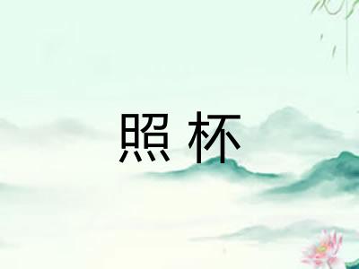 照杯