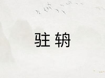 驻辀