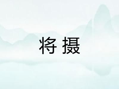 将摄