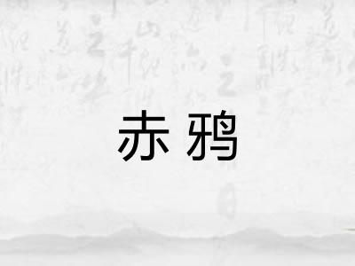 赤鸦