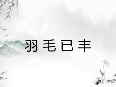 羽毛已丰