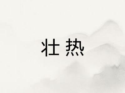 壮热