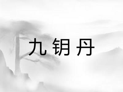 九钥丹
