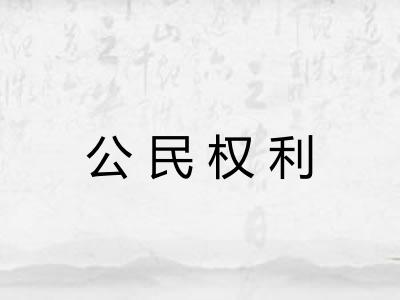 公民权利