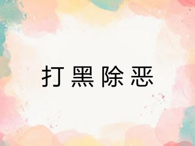 打黑除恶